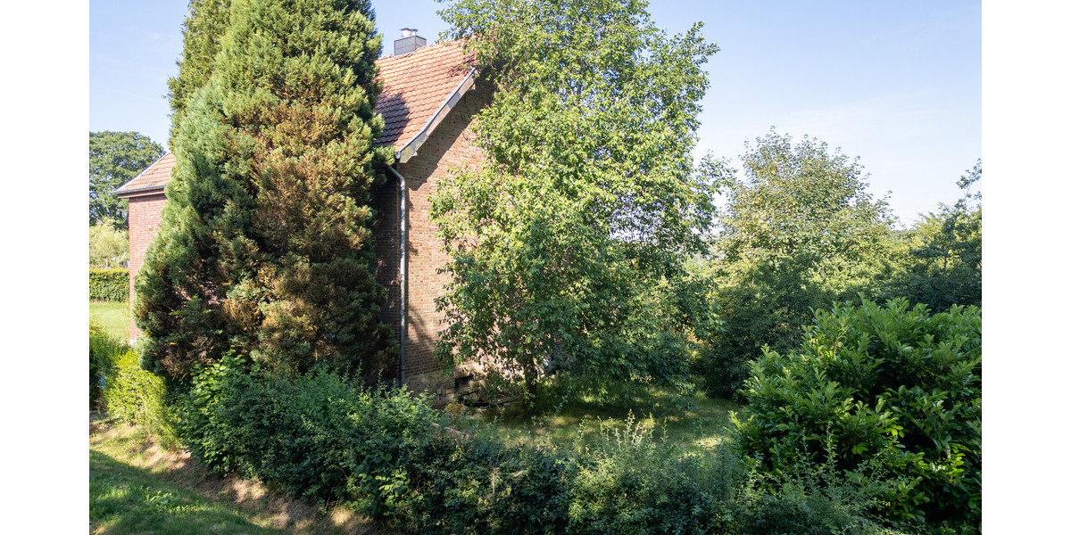 Seitenansicht