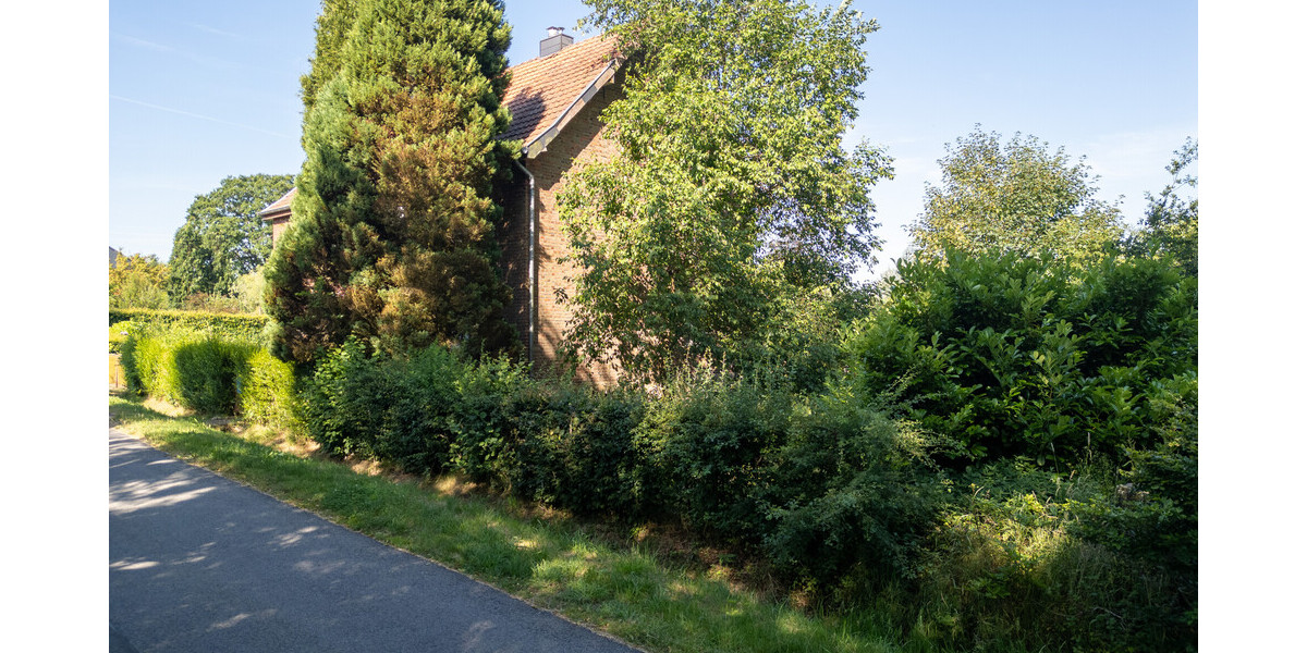 Seitenansicht