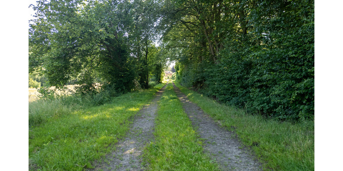 Zuwegung hinterer Grundstücksteil